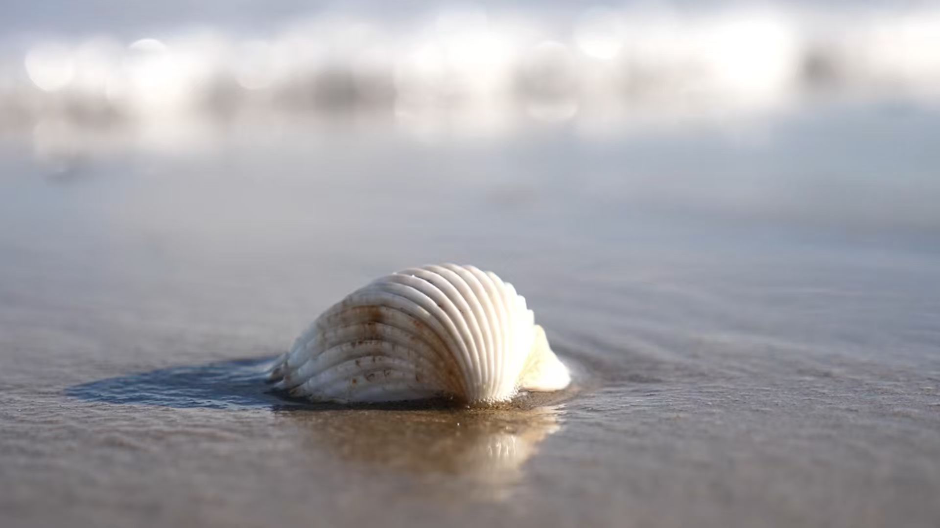 Ruizhi Machinery | Sustainable Solutions Engineered for Industry